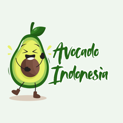Avocado Export Indonesia