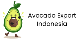 Avocado Export Indonesia